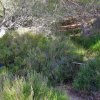 20180415_124605